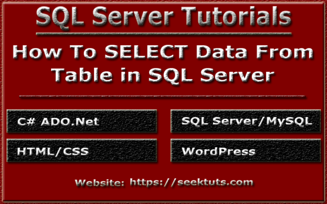 You are currently viewing How To Select Data From Table in SQL Server